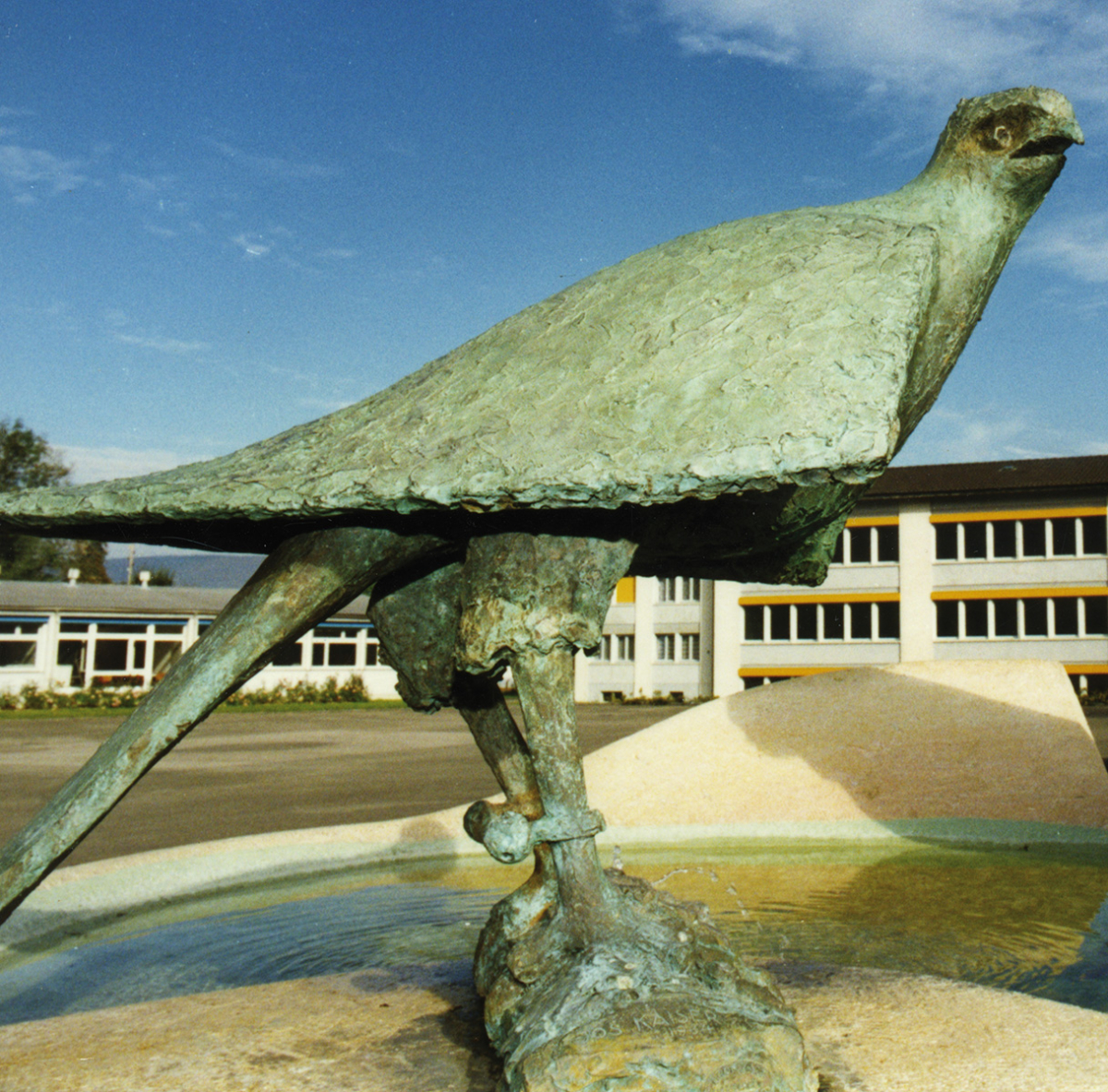 Faucon de l'école de Courrendlin